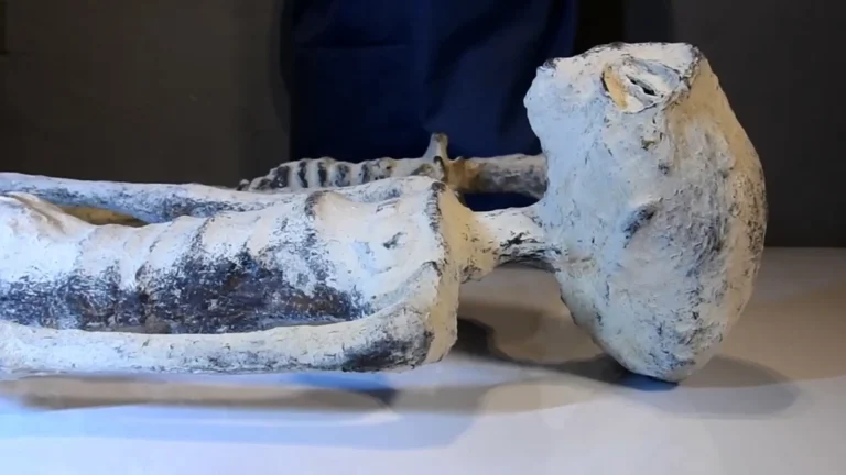 “NASA’s UFO Research Team Dismisses Claims of Alien Mummies in Mexico”